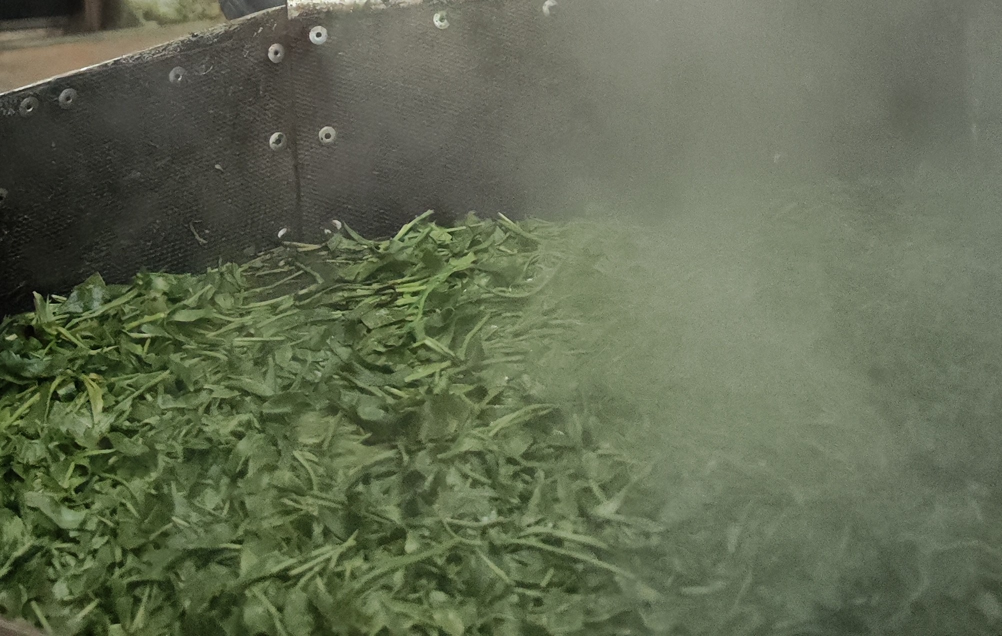 こだわりの茶葉