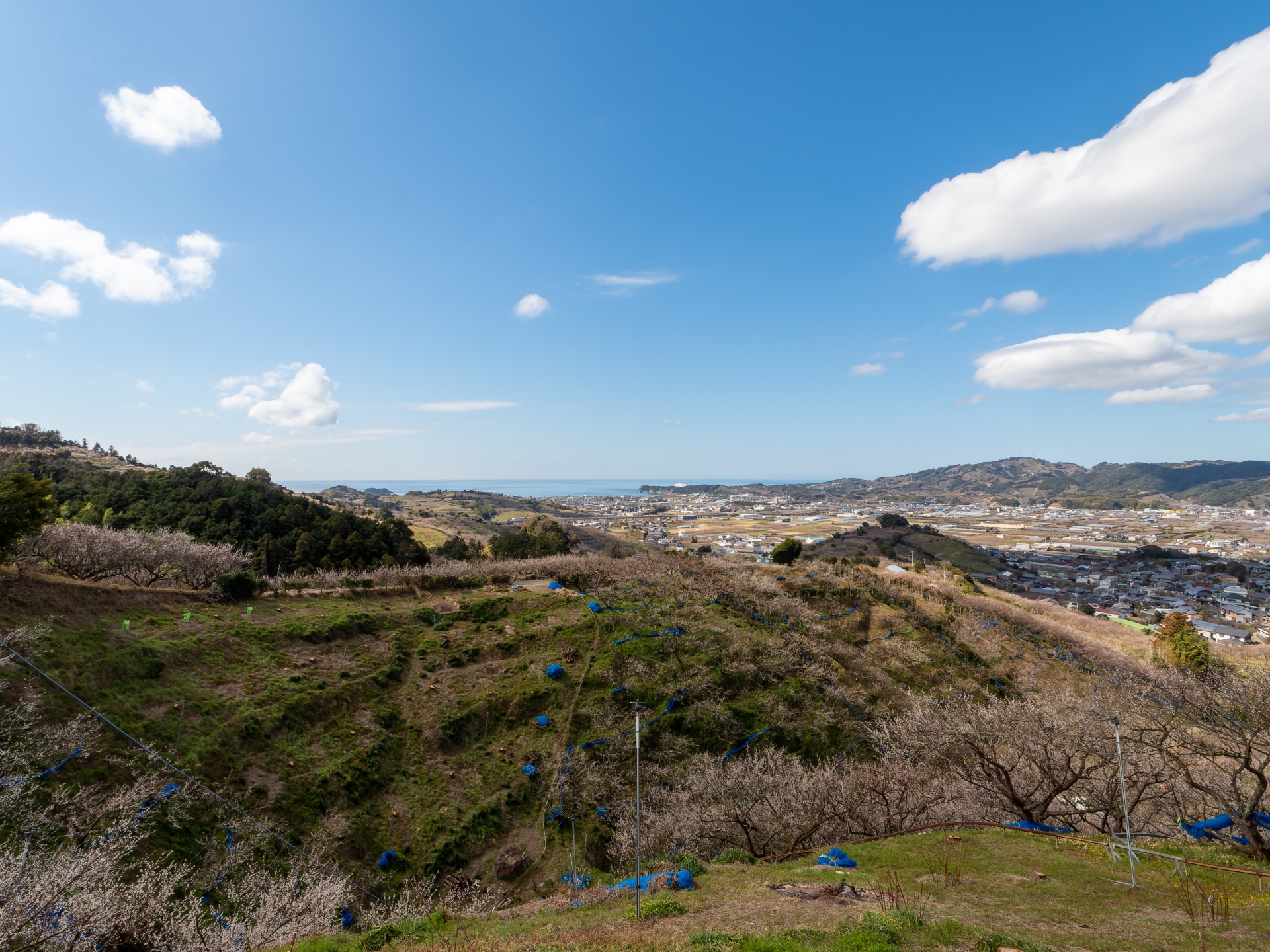 和歌山県みなべ町の風景
