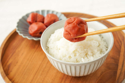 【定期便】梅干し(はちみつ＋しそ)セット
